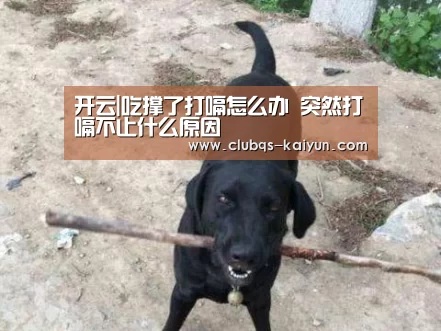 开云APP