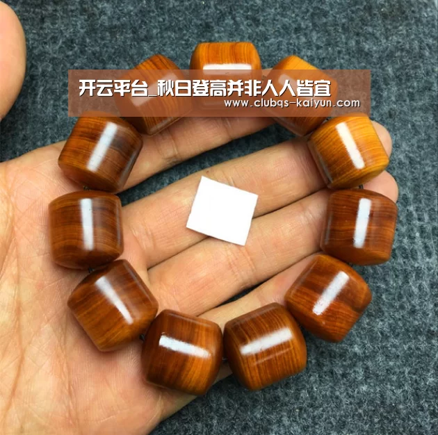 开云平台_秋日登高并非人人皆宜