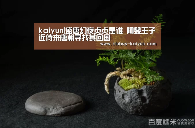 kaiyun|盛唐幻夜贞贞是谁 阿婴王子近侍来唐朝寻找其回国